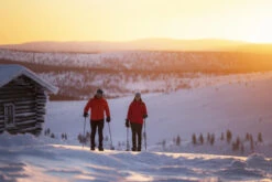 Halti Routa Women's XCT Anorak 15 Halti Routa Women's XCT Anorak -Ski Ausrüstungs Laden 0860681 0860584 0801292 0640464 mood GeWo