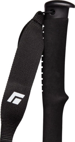 Black Diamond Vapor 1 AL Ski Poles -Ski Ausrüstungs Laden 111605 0000 VAPOR 1 AL SKI POLES NO COLOR 04