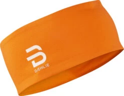 Daehlie Headband Aware