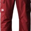 The North Face Mens Slashback Cargo Pant