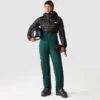 The North Face Womens Summit Stimson Futurelight Pant