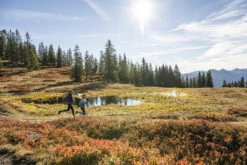 Loeffler Löffler Men Hoody Frozen REW -Ski Ausrüstungs Laden a 26339 26326 F6Uq