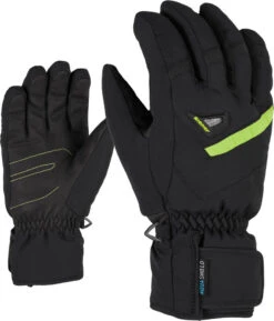 Ziener Gary ASR Glove Ski Alpine